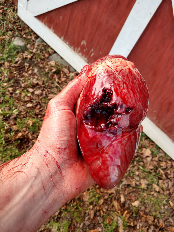 IMG_20201121_110243537_HDR