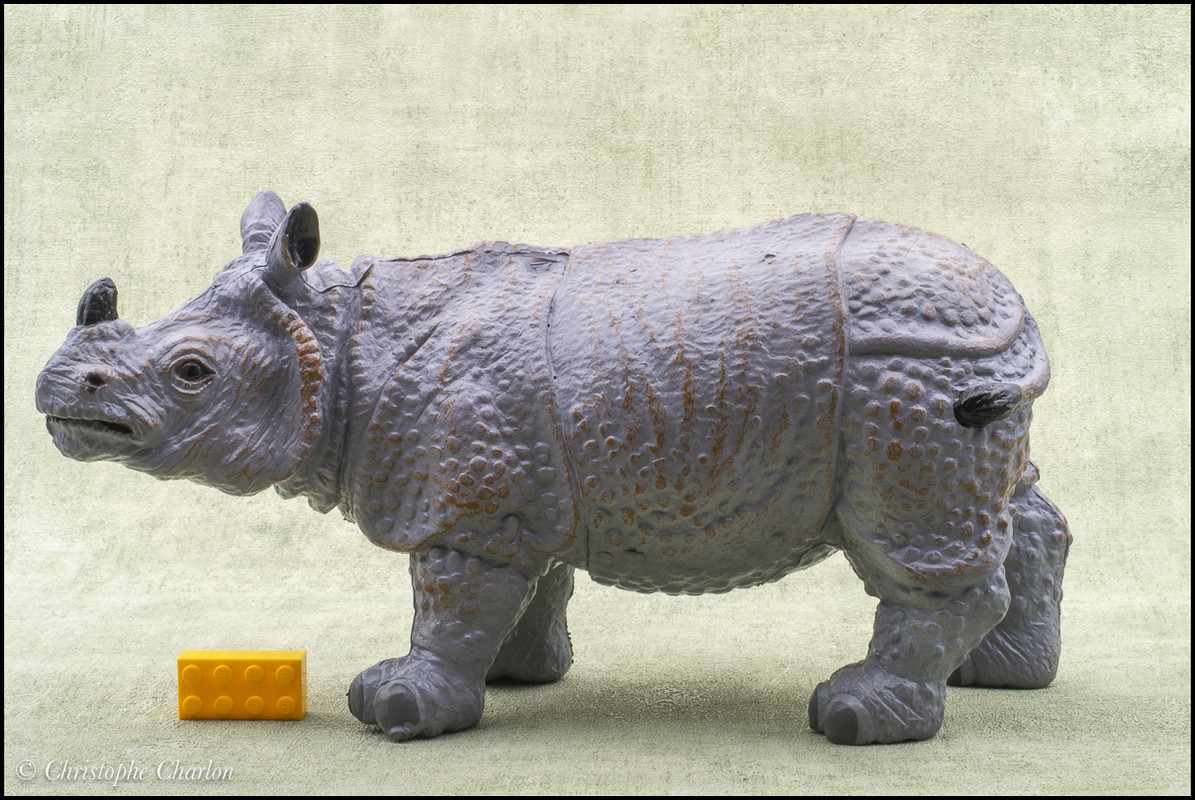 Toy Animal Wiki - Page 9 Toy-Major-1994-Big-Indian-rhinoceros-1