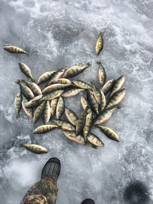 9283D68E-02E1-4E3B-812B-4D7330EC481E