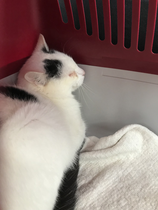 53D1BCC3-55EB-43A5-B0F7-E491A5E50606