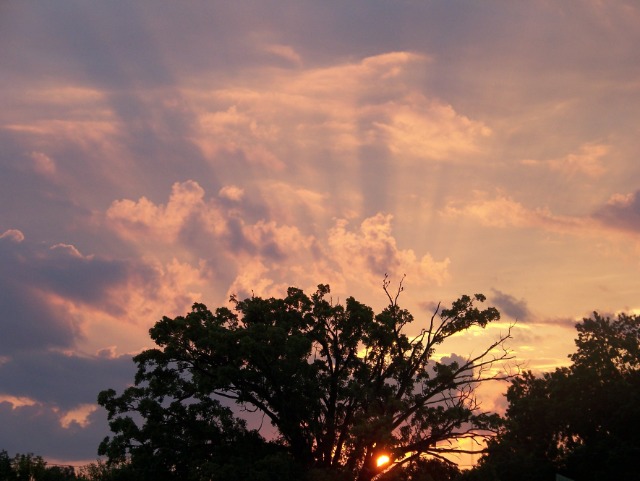 117911680_180814796895357_5597809131571438877_o (2)