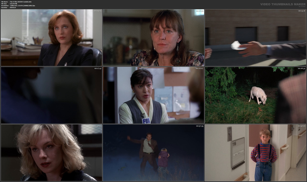 The X-Files S01E04 Conduit.mkv