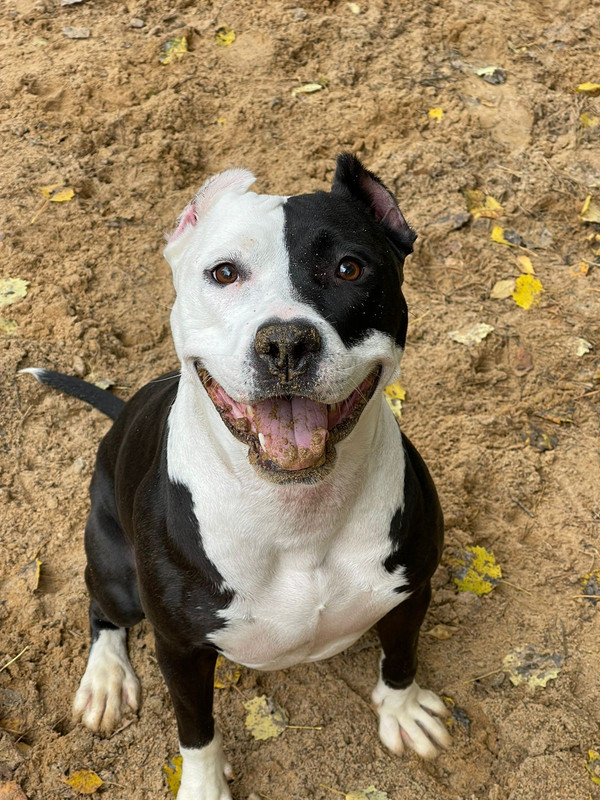 AB6AAD4D-69CC-47A6-A0E6-C351CD715452