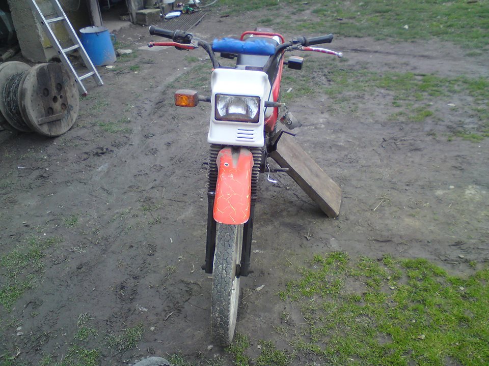 10151582_802940773068476_210378762_n