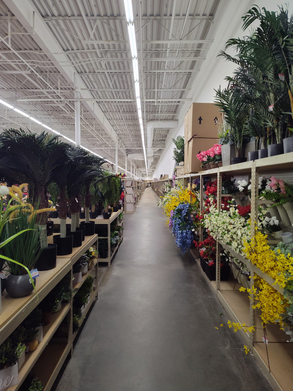 IMG_20250608_181228270_HDR