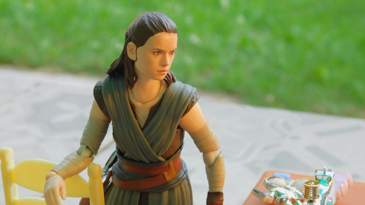 Дачно-Харлинский июнь-июль 2024 139