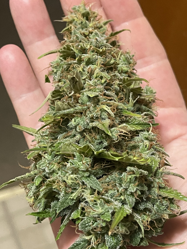 B3F248C8-8917-4882-9B10-7E7BB7B3456B