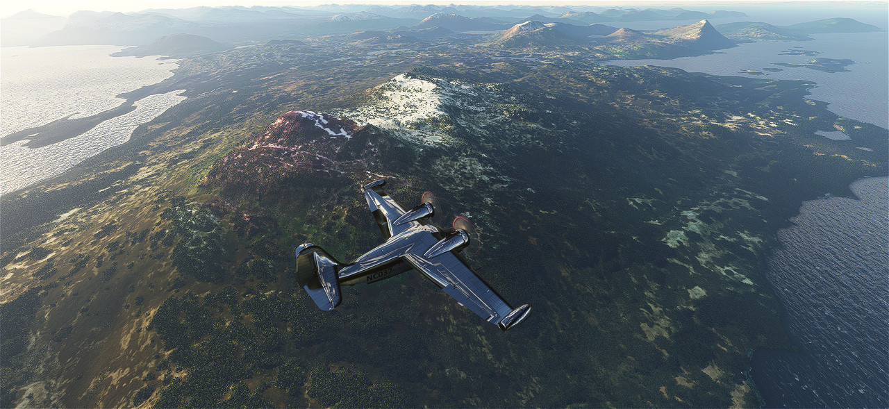 Goose-10.jpg