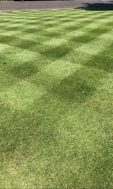 3748EA12-6492-48B5-A3B8-4E3780636F84