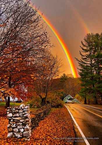 Fall-Rainbow-Orange