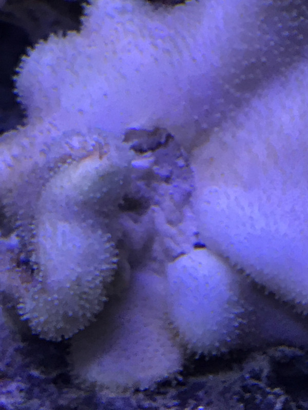 36334D20-FD2E-4679-9669-1B5F754B0CF9