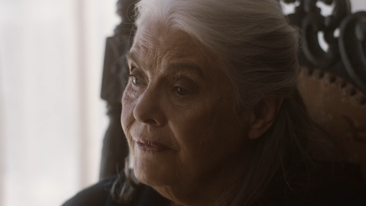 Marjorie Prime 2017 (1080p x265 10bit Tigole).mkv_snapshot_01.29