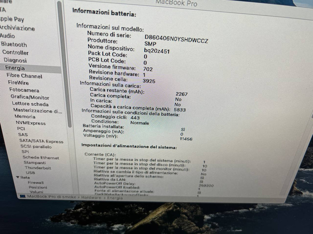 photo_2024-01-21_09-19-20