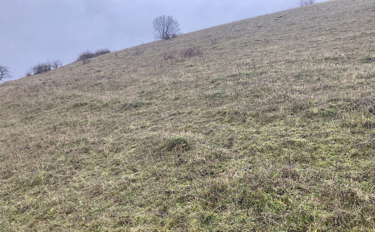 69DEE57D-9B68-41E6-B11A-EECED66DF468