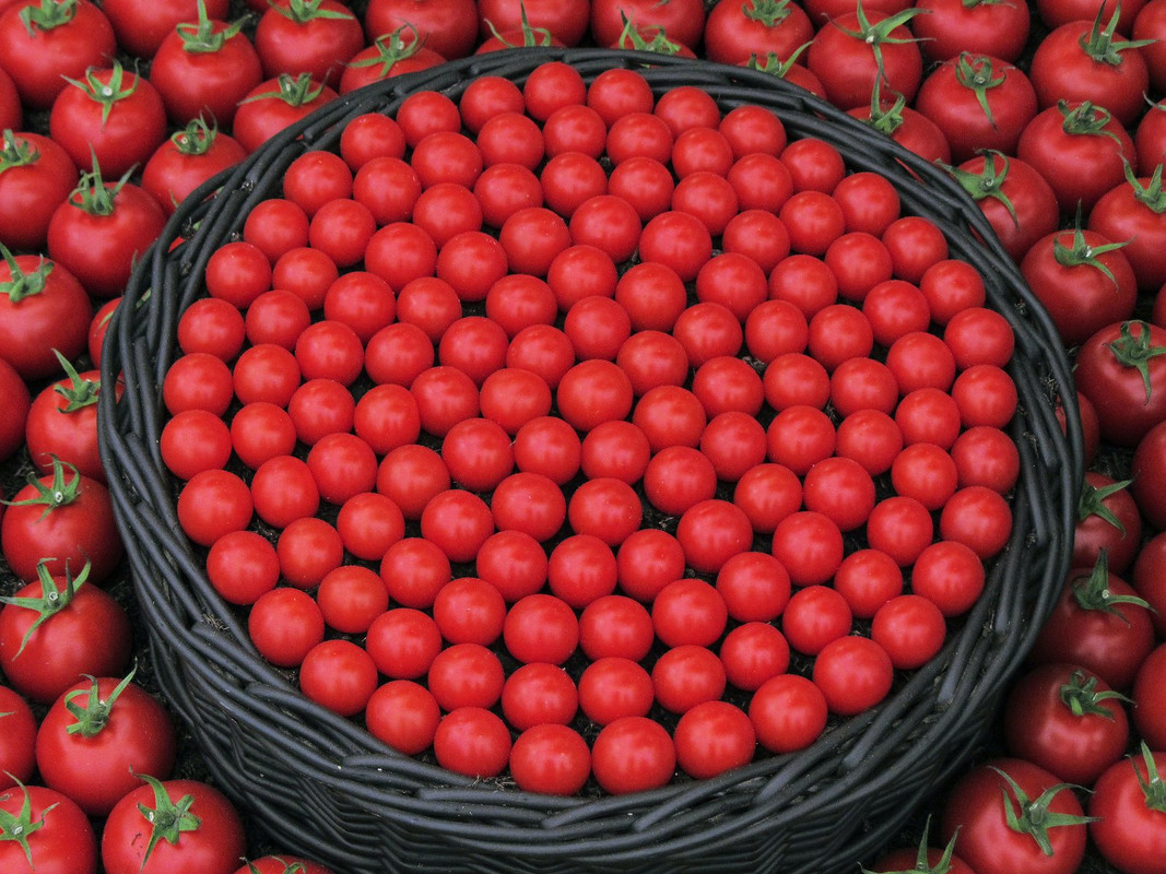 red-circle-tomatoes.jpg
