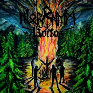 Re: Norrhem (FIN) / Black Metal
