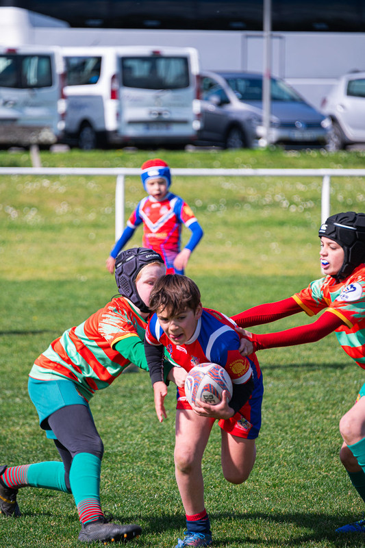 tournoi-de-latlantique-2026-adonis-griffon-153-55181691670-l