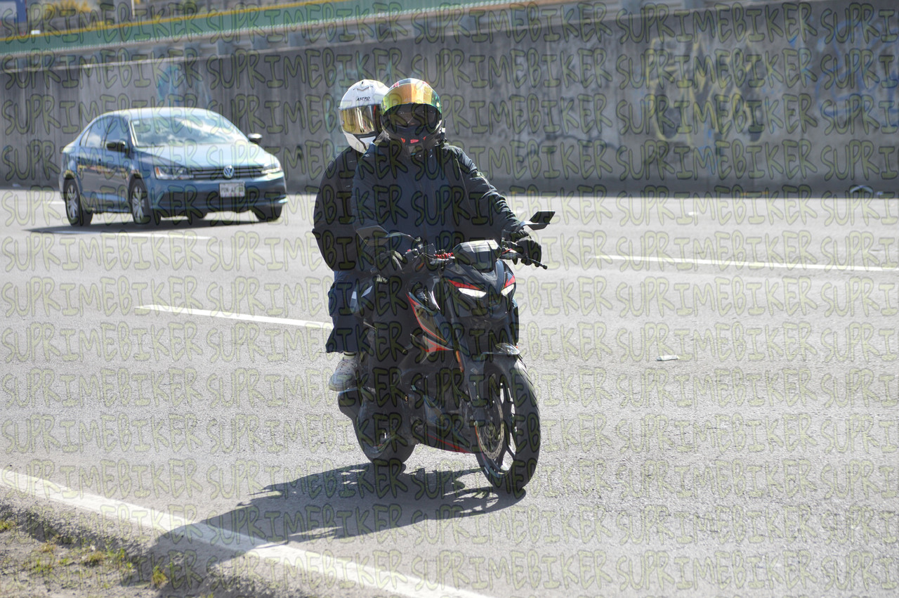 DSC 0349