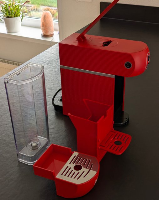 PXL_20250329_093537053_Original