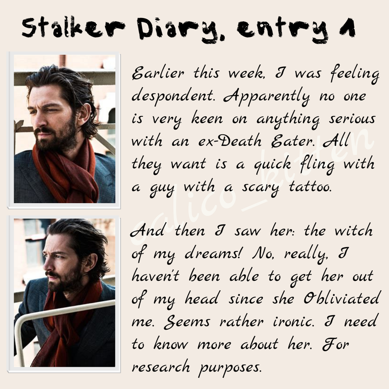 Stalker-Diary-01