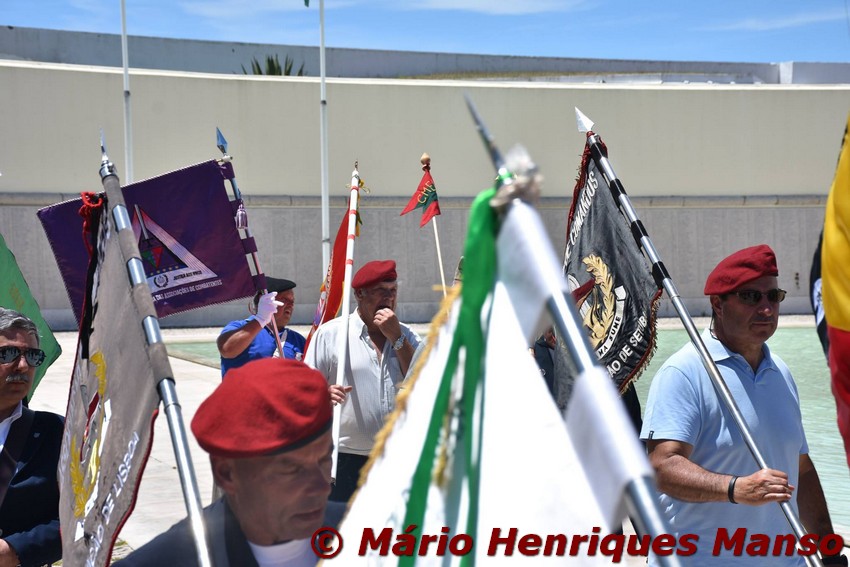 19055097_1489141204472109_6346701312487810260_o