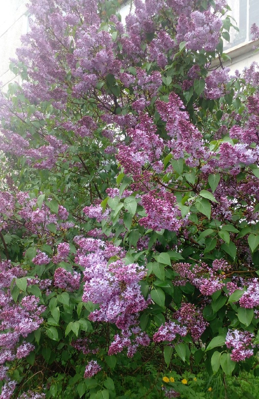 -xagYii7rcS07iscpYOBLIyBJuyyP-cEDCjaxVGNAdA78NIF9FF6mujIKNHCCygPIQALRCzLOdNDSIWVAotPHNYi