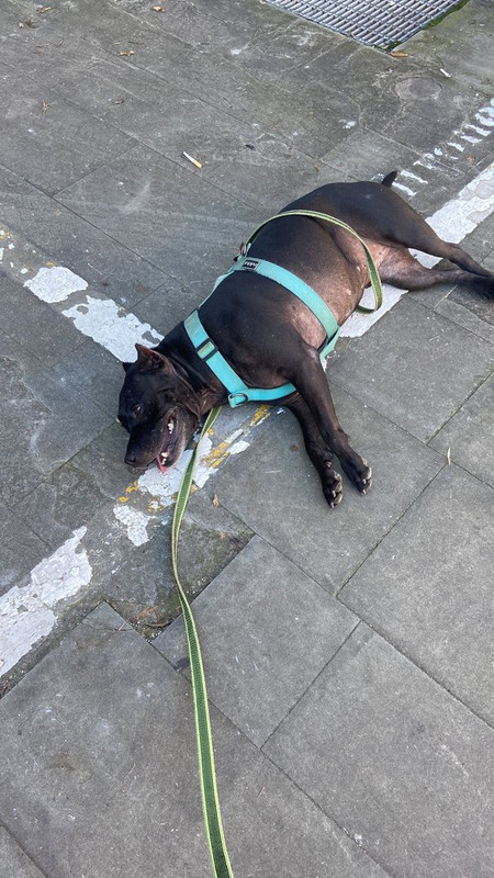 WhatsApp Image 2024-11-24 at 15.10.39 (2)