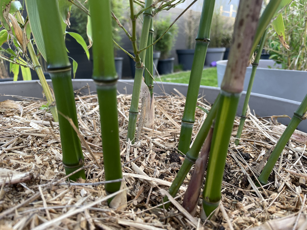 A8F2AAB6-C865-4767-BA61-8DD13A182EA1