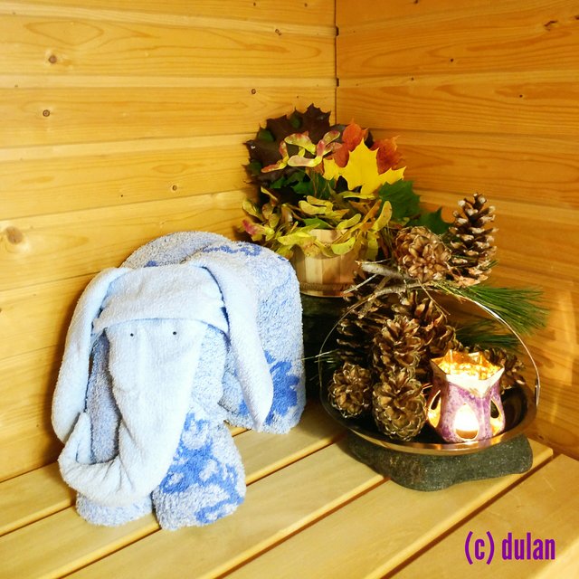 [Image: IMG-20240929-232317.jpg]