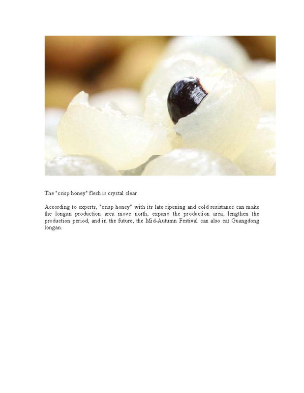 Hybrid_Longan(pdf)_Page_5