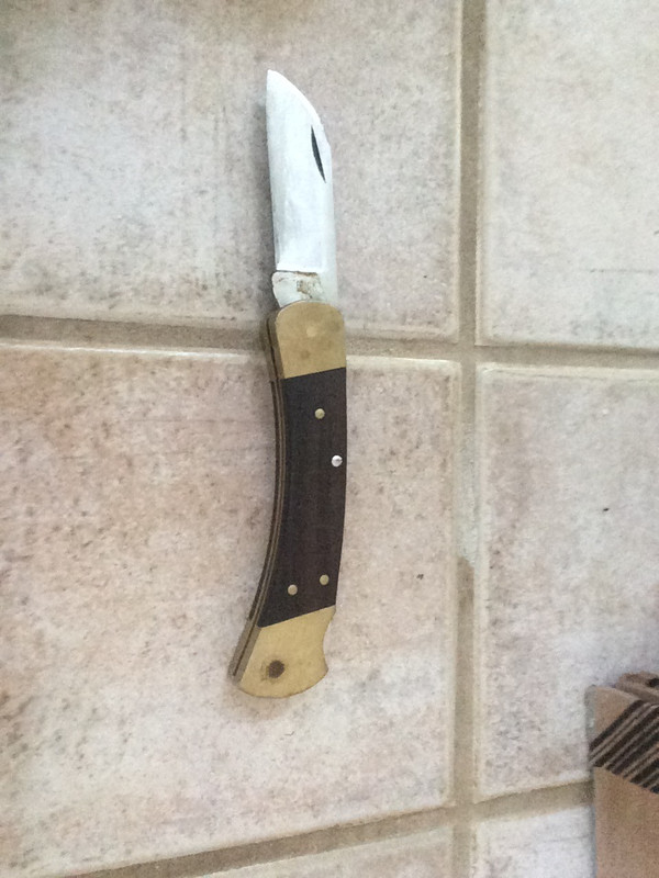 0B09CF80-06BD-4E5A-B929-06E9F1C08098