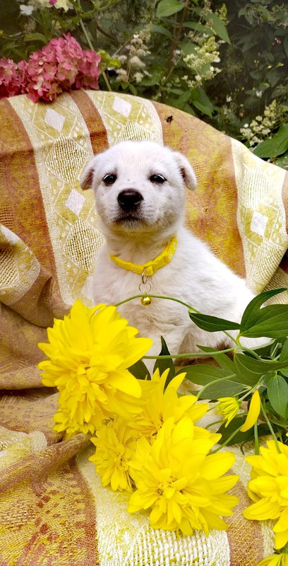 Изображение WhatsApp 2025-08-19 в 13.02.09_f9b8162d