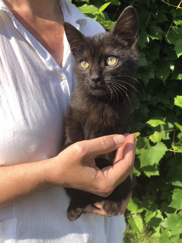 7EBD40B5-A6B4-4BD9-8046-FBE9743E1978