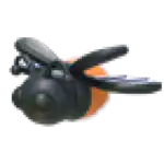 Firefly