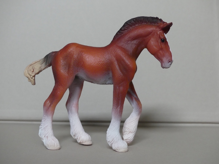 Pictures for Toy Animal Wiki - Page 14 Clydesdale-Foal-Bay