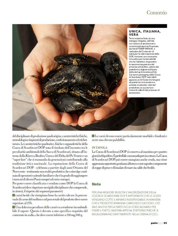 gus - Ago-Set 2024 (12)