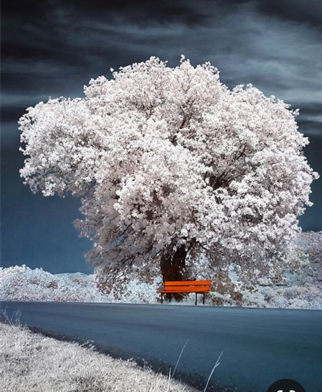 Screenshot_20230531_221805_Pinterest