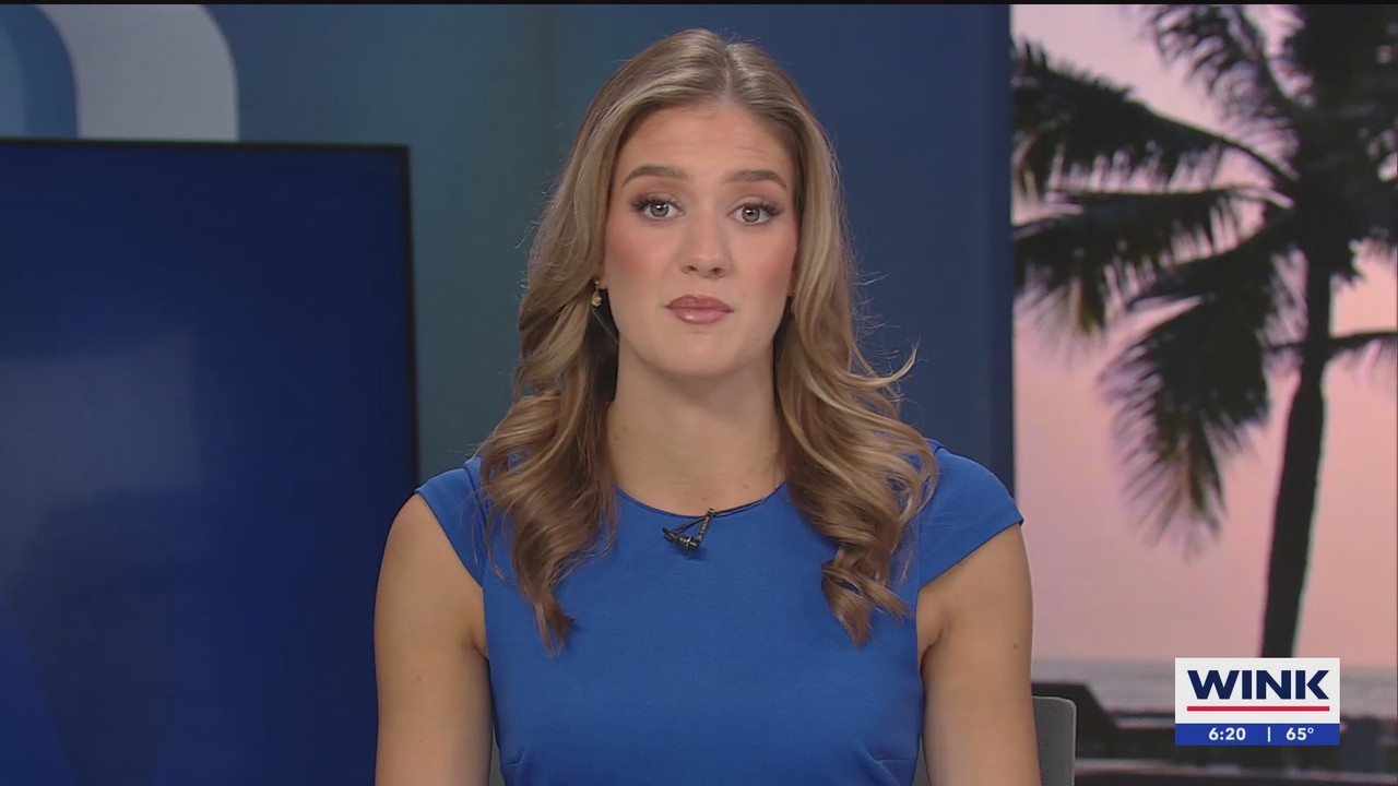 WINK NEWS at 600am Sunday_20250302_11001200.ts_snapshot_21.20.498