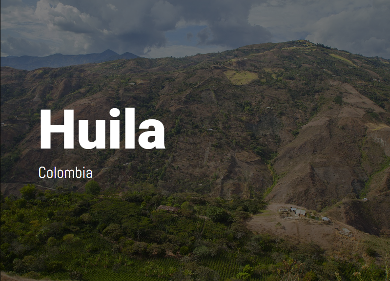 Rex Colombia Huila El Tiple Supremo Columbia Hulia Coffee Beans