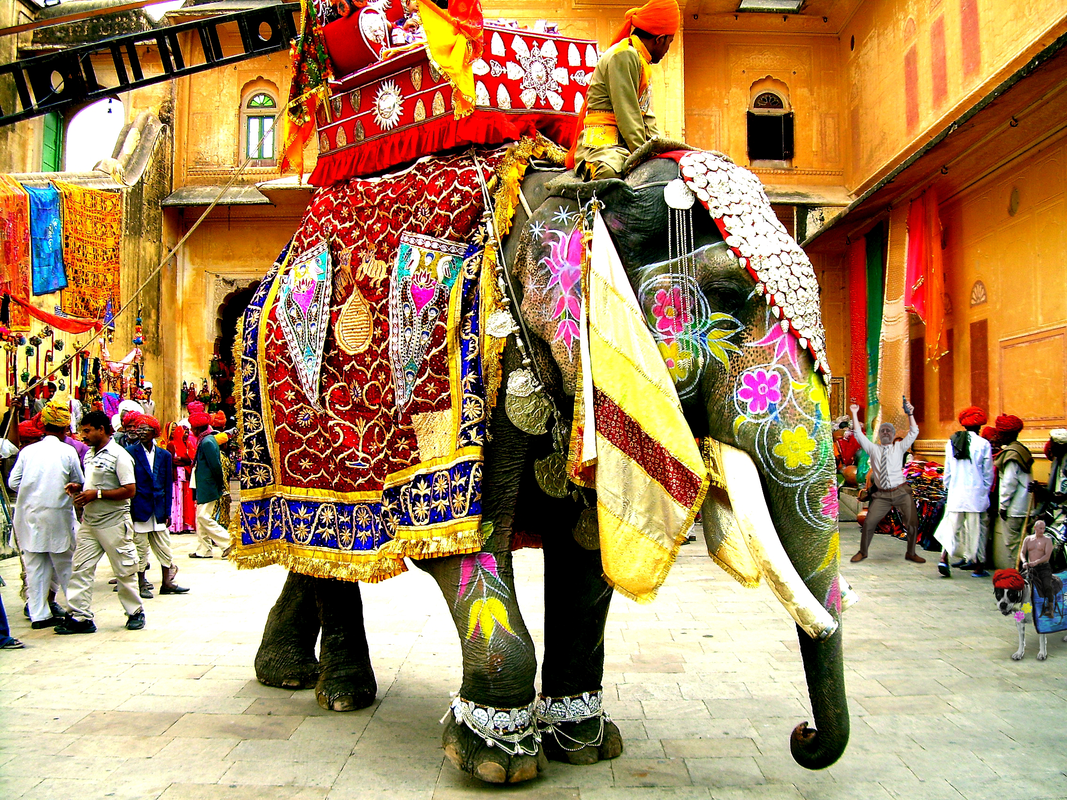 Decorated-Indian-elephant.png