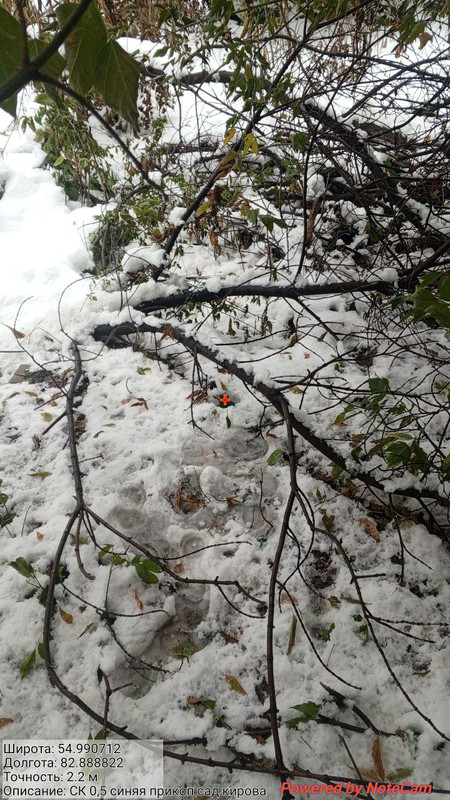 photo_4_2025-10-10_16-57-59