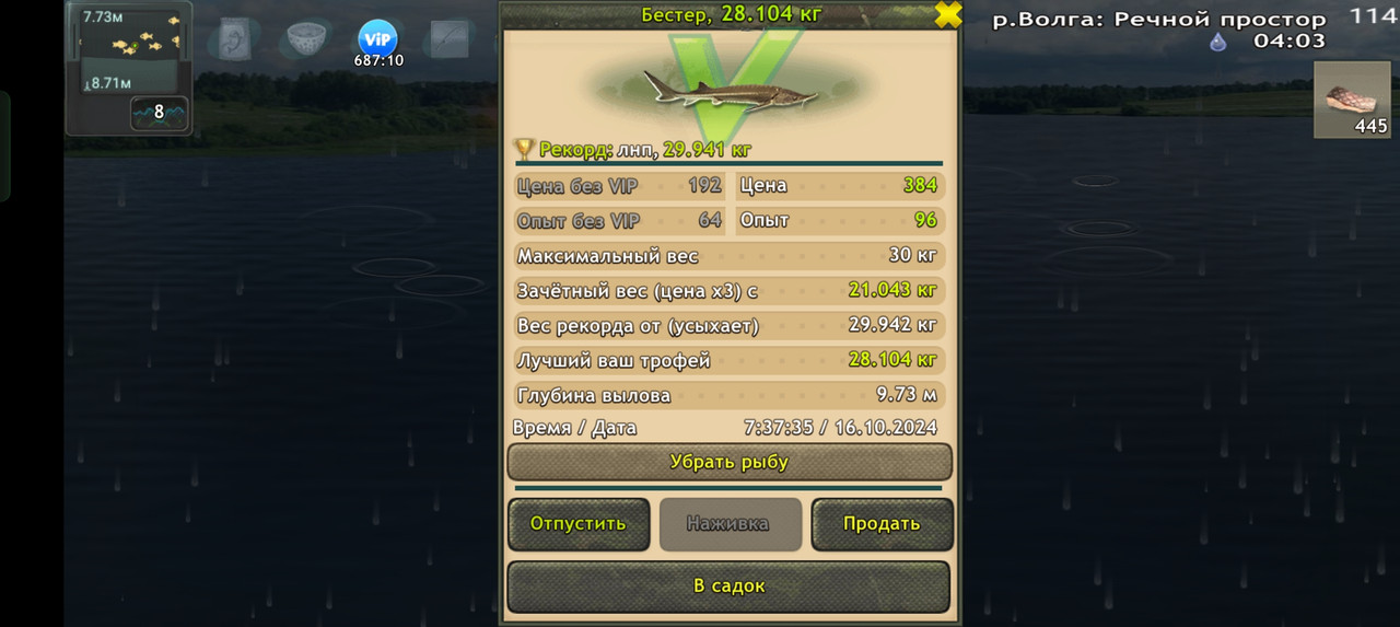 Screenshot-2024-10-16-07-37-40-48-fa28ee