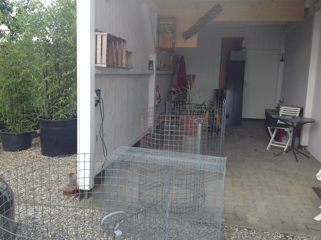 Vespa crabro germana 4. Sept 2015  (3)