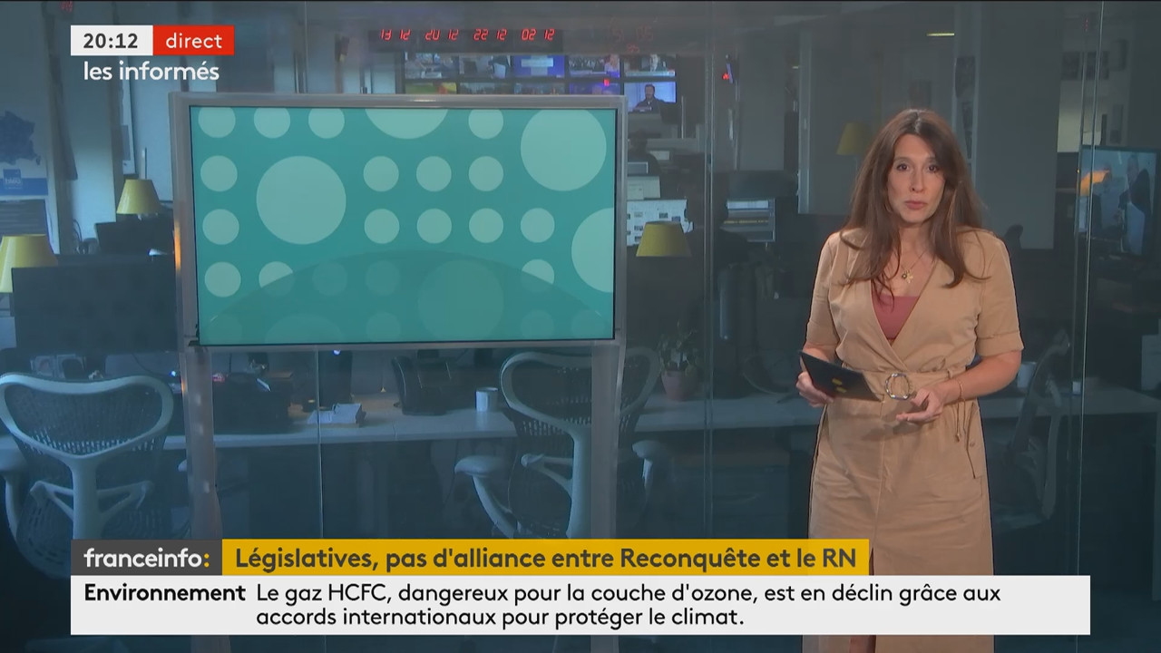 Les informés du soir (Franceinfo)_2024_06_11_19_03_88.ts_snapshot_10.00.463