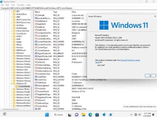Windows 11 Pro Preview 22H2 Build 22621.1194 x64 En-Us January 2023 (No TPM Required)