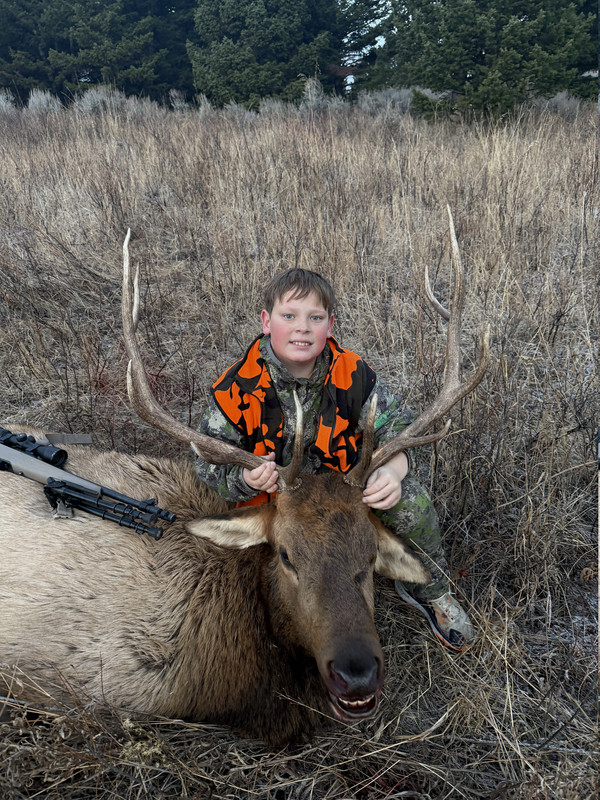 [Linked Image from i.postimg.cc]