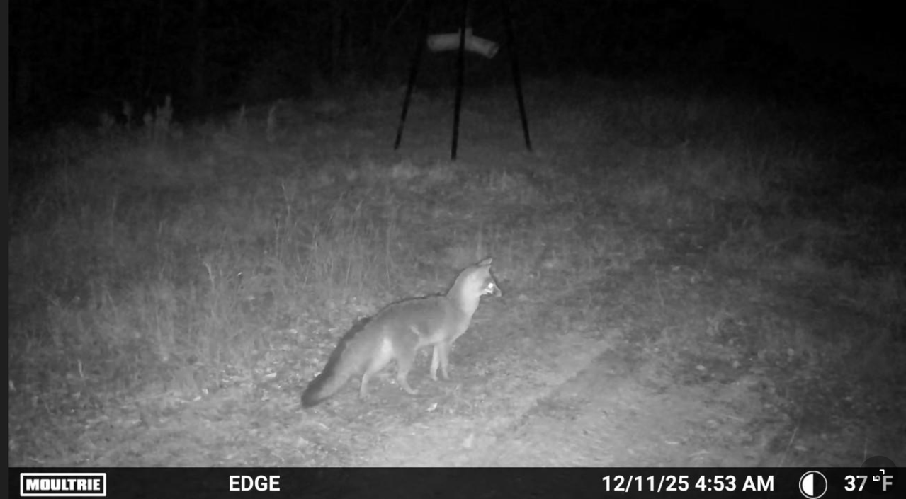 Screen Shot 2025 12 12 at 9 40 15 AM