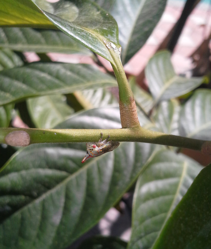20150329_152325 crop