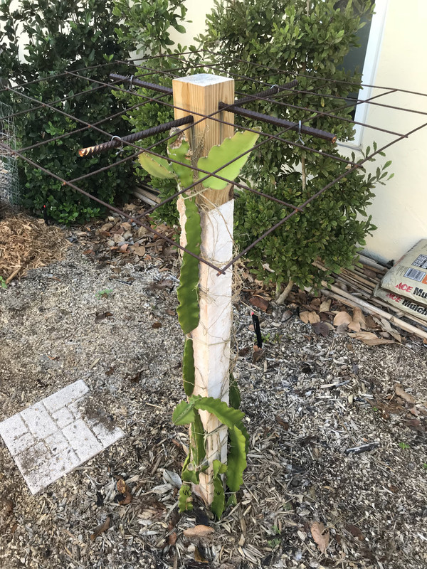 A15114E3-D615-43E5-A950-A0FDCB0A69BF