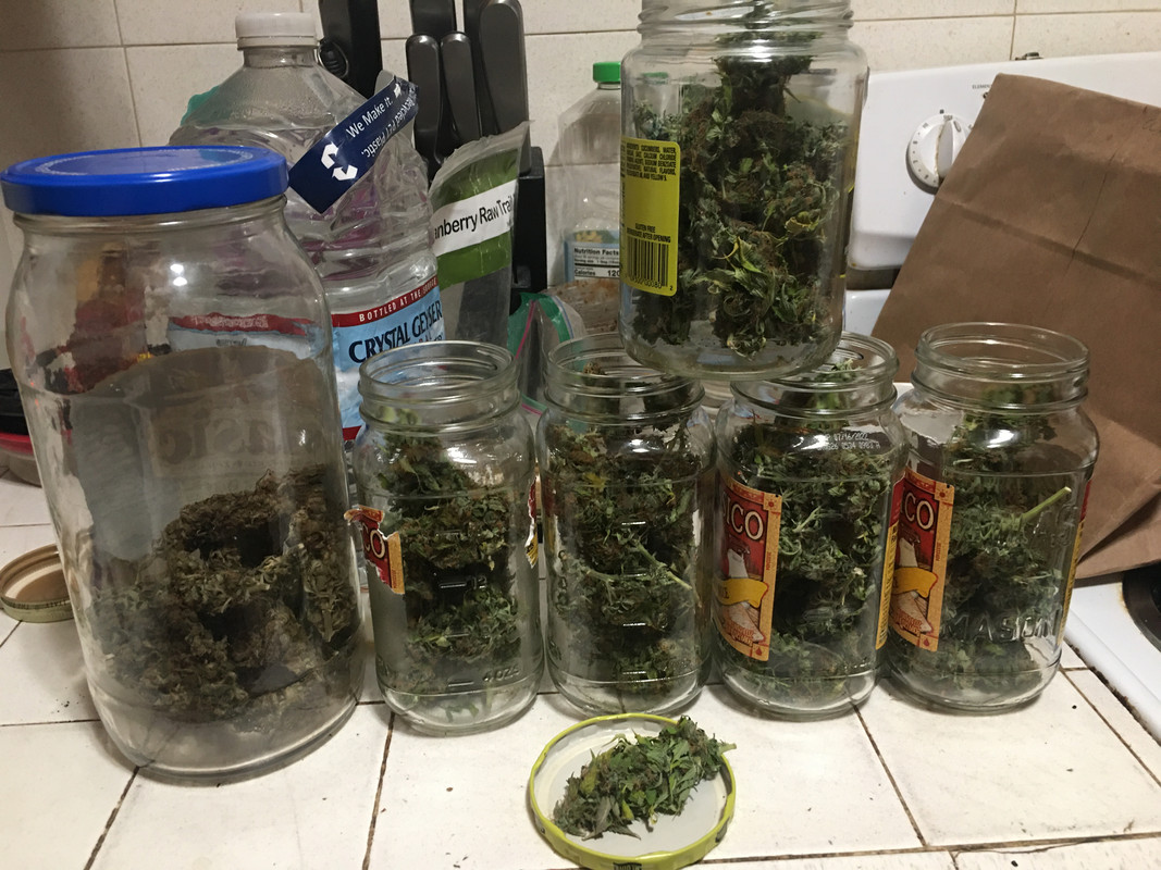 9FC0A16A-1465-42EB-B84A-83E4978E1716